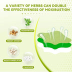 Illustration of herbs used in moxibustion with text on a green background