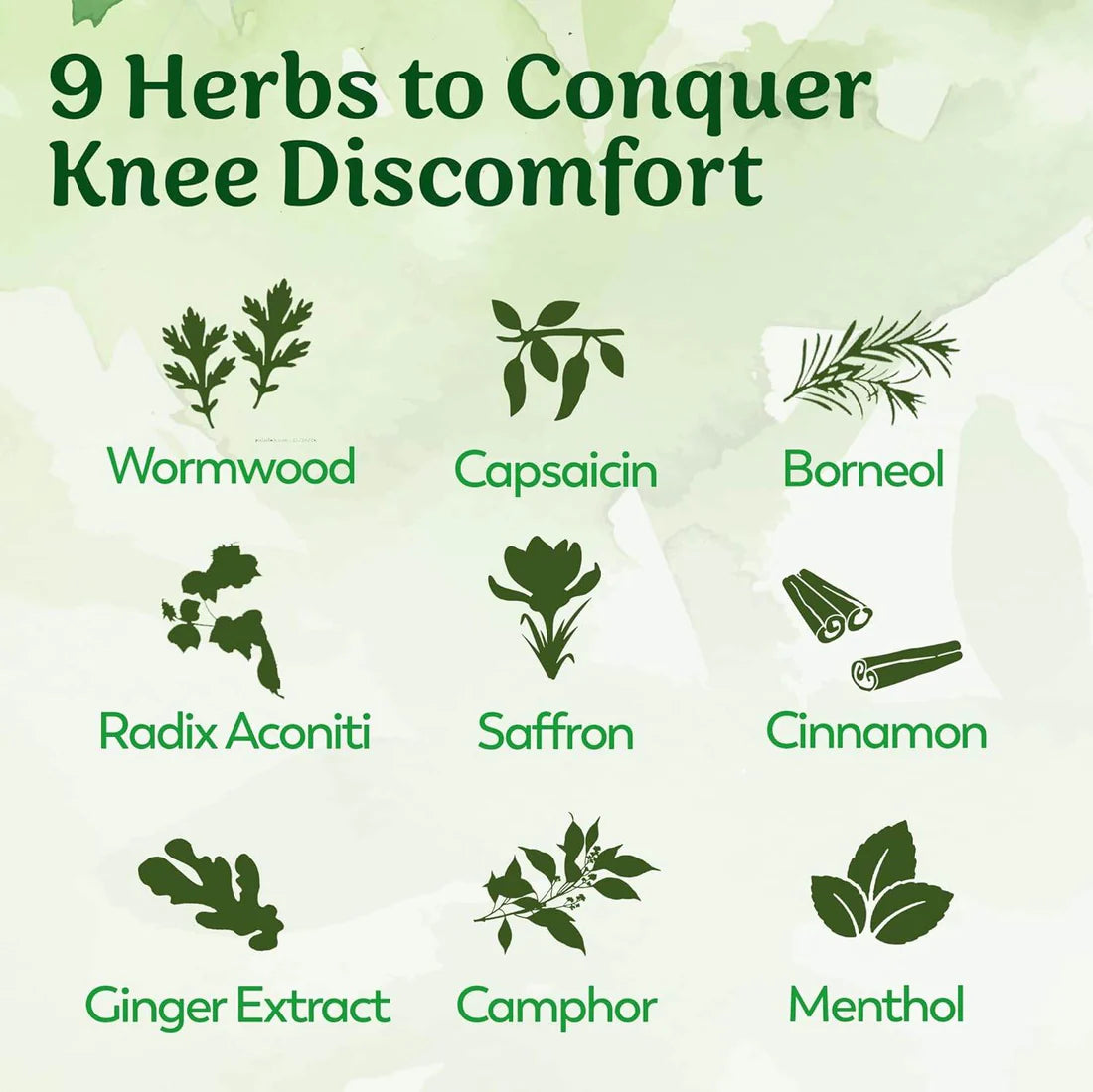 wormwood, capsaicin, borneol, radix aconiti, saffron, cinnamon, ginger extract, camphor, menthol etc all 9 herbs to conquer knee discomfort 